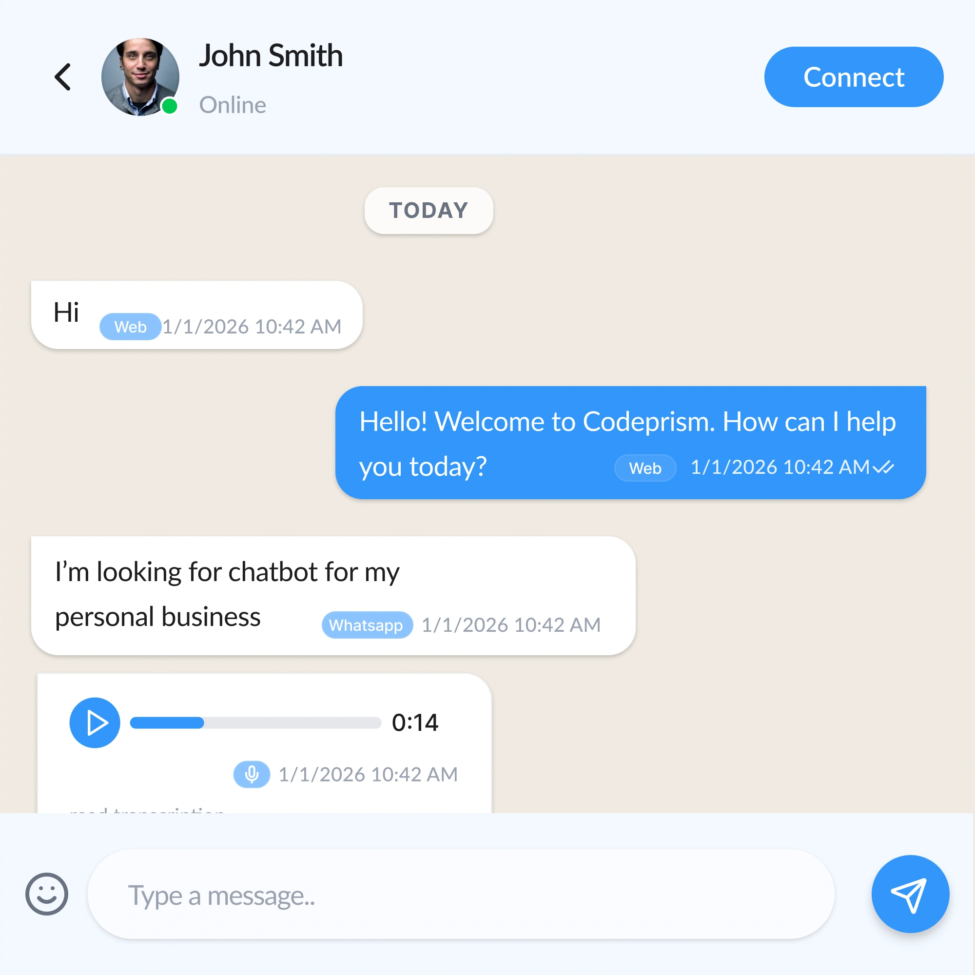 Chat Interface Mockup